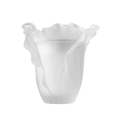 Show details for Burner White Cabbage Picture of Burner White Cabbage