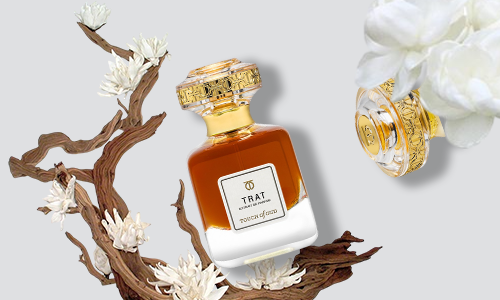 What is Oud? The Complete Guide to the World's Most Precious Fragrance